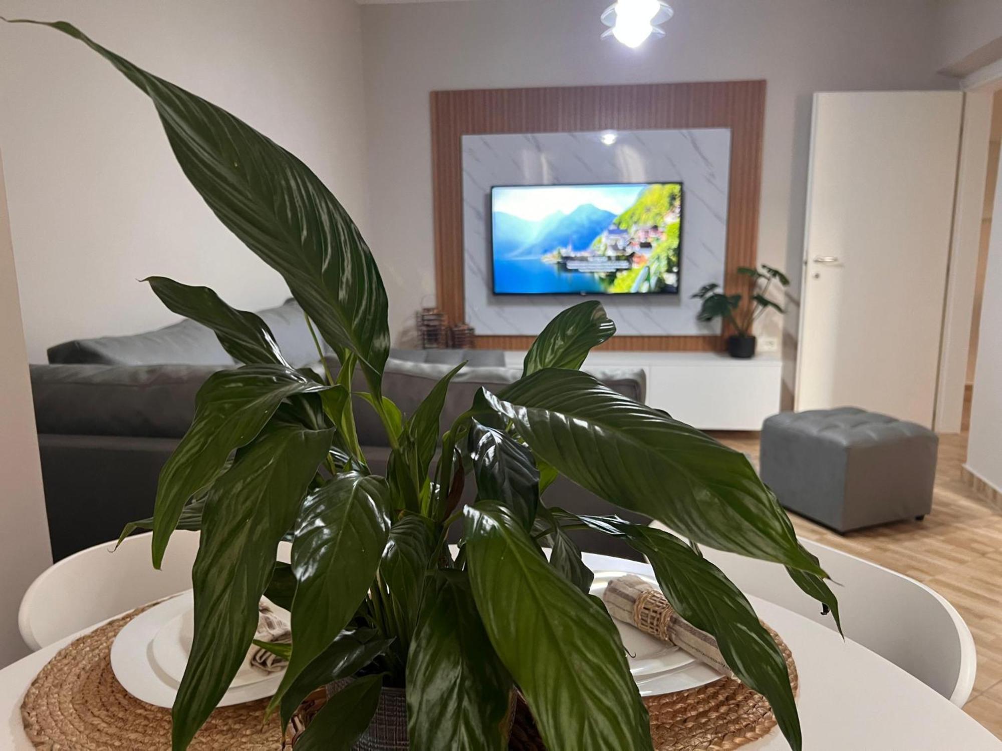 New Modern Tirana Apartment Exteriör bild